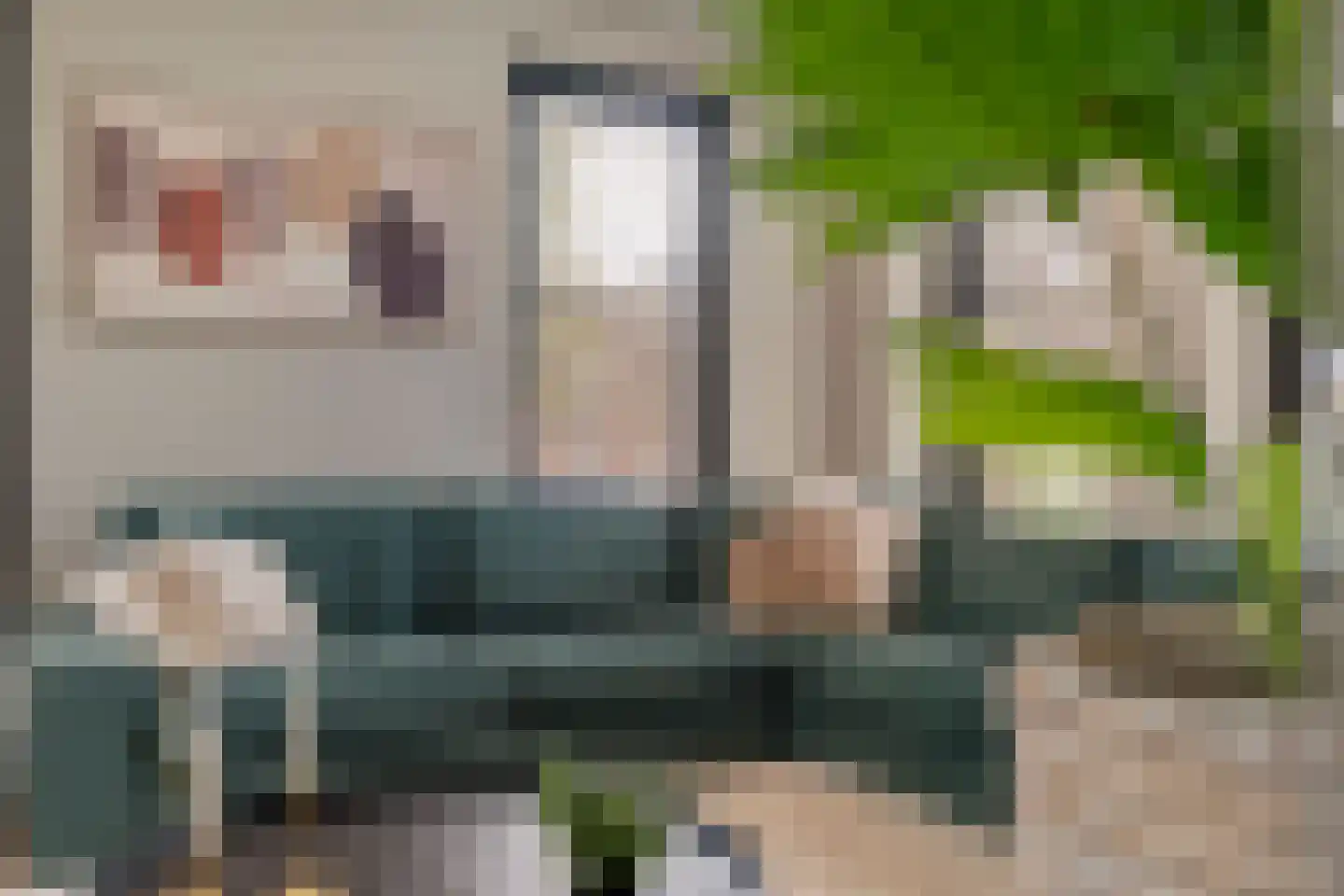 Blasiuslaan 7 Almelo thumbnail 17