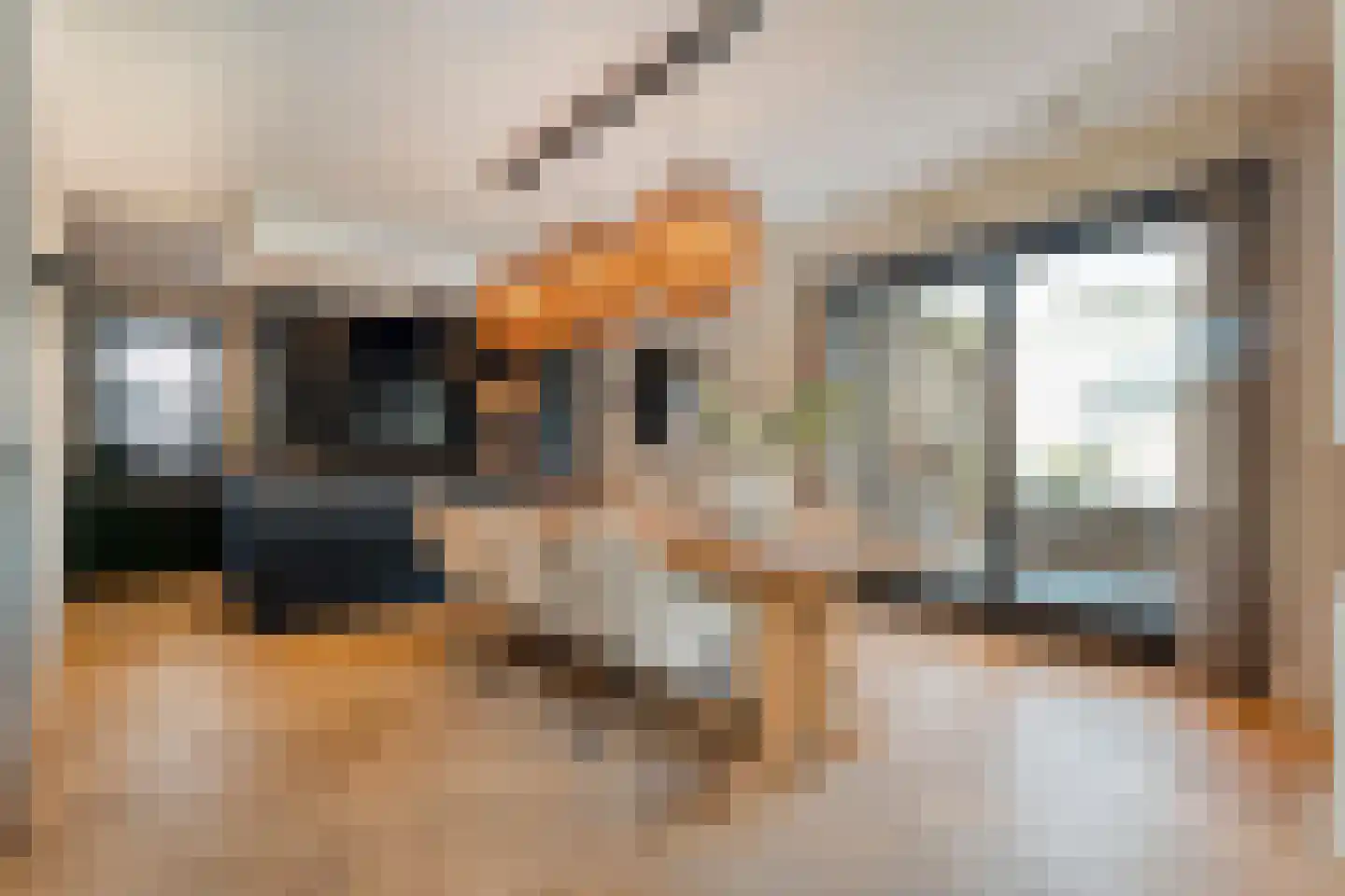 Blasiuslaan 7 Almelo thumbnail 19