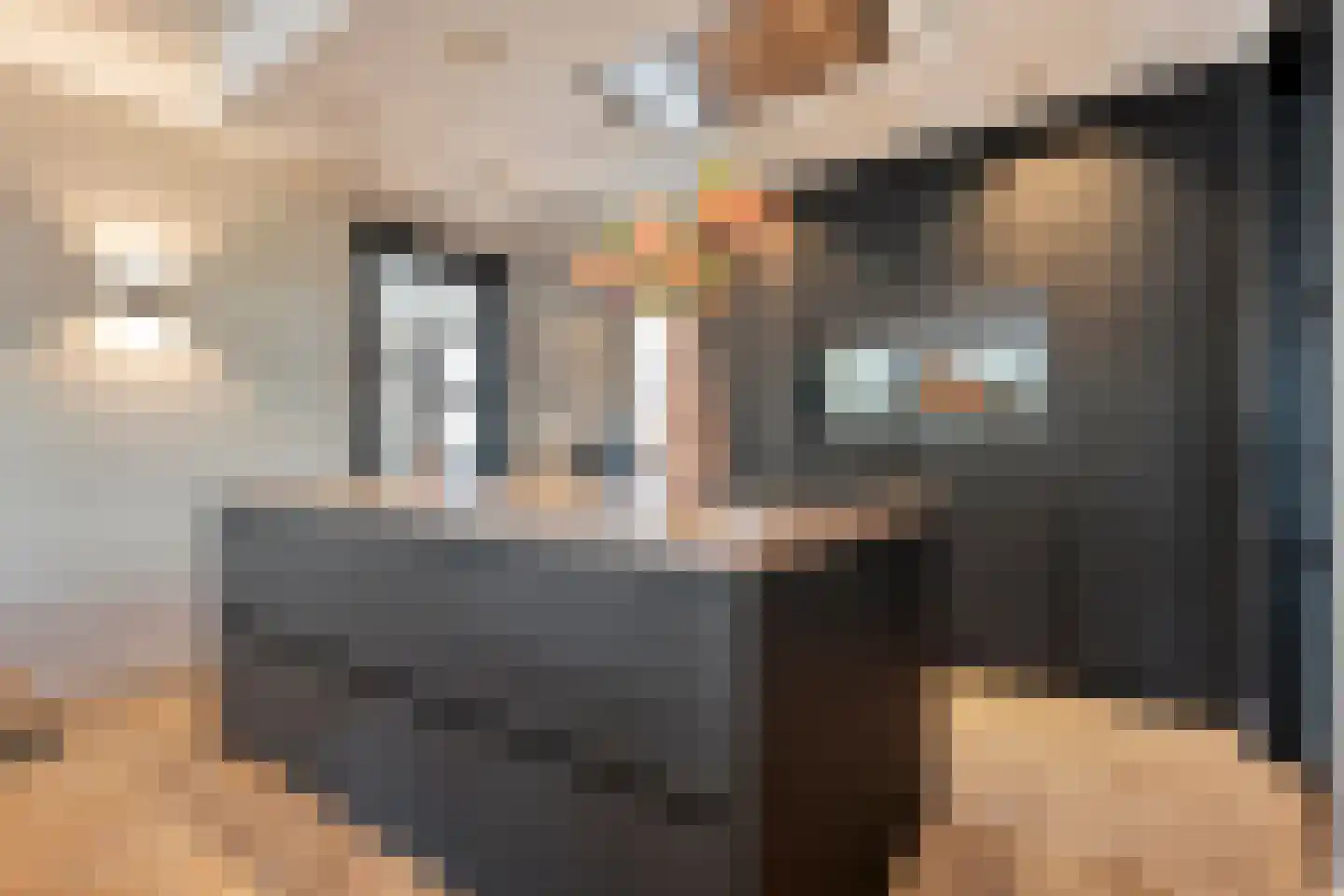 Blasiuslaan 7 Almelo thumbnail 20