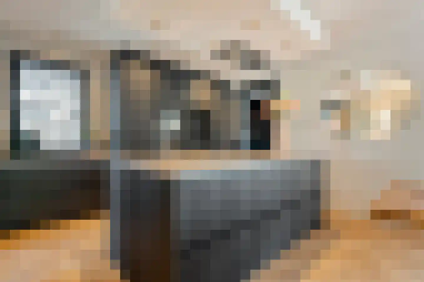 Blasiuslaan 7 Almelo thumbnail 21