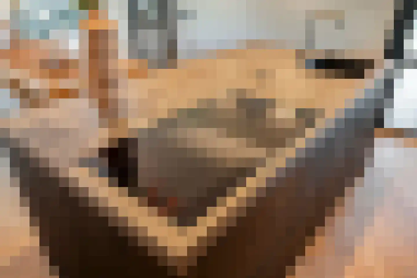 Blasiuslaan 7 Almelo thumbnail 22