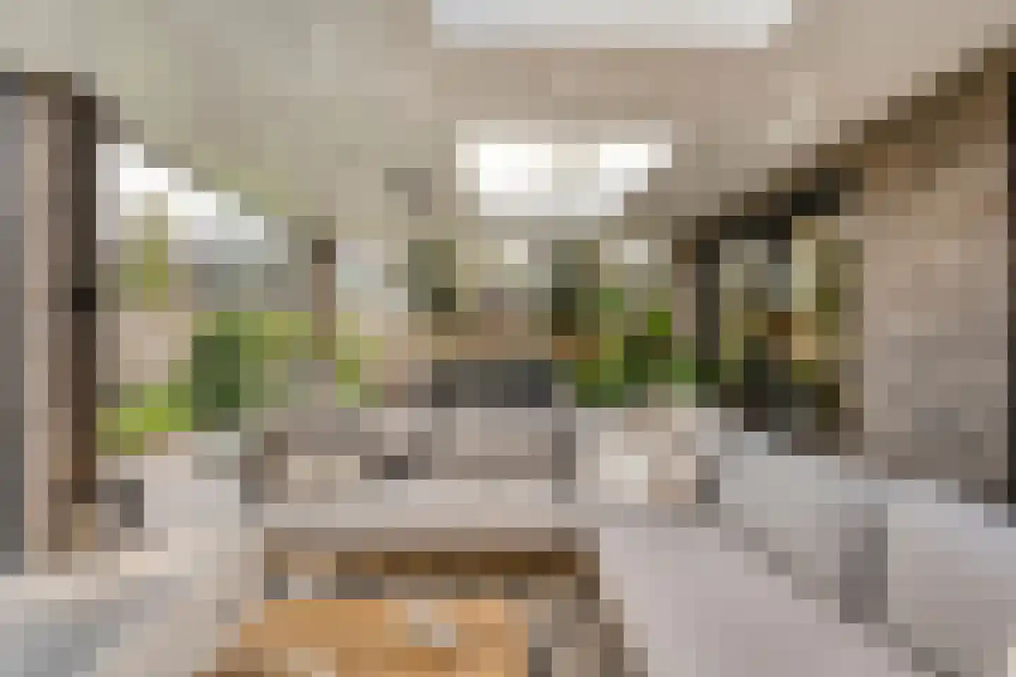 Blasiuslaan 7 Almelo thumbnail 29