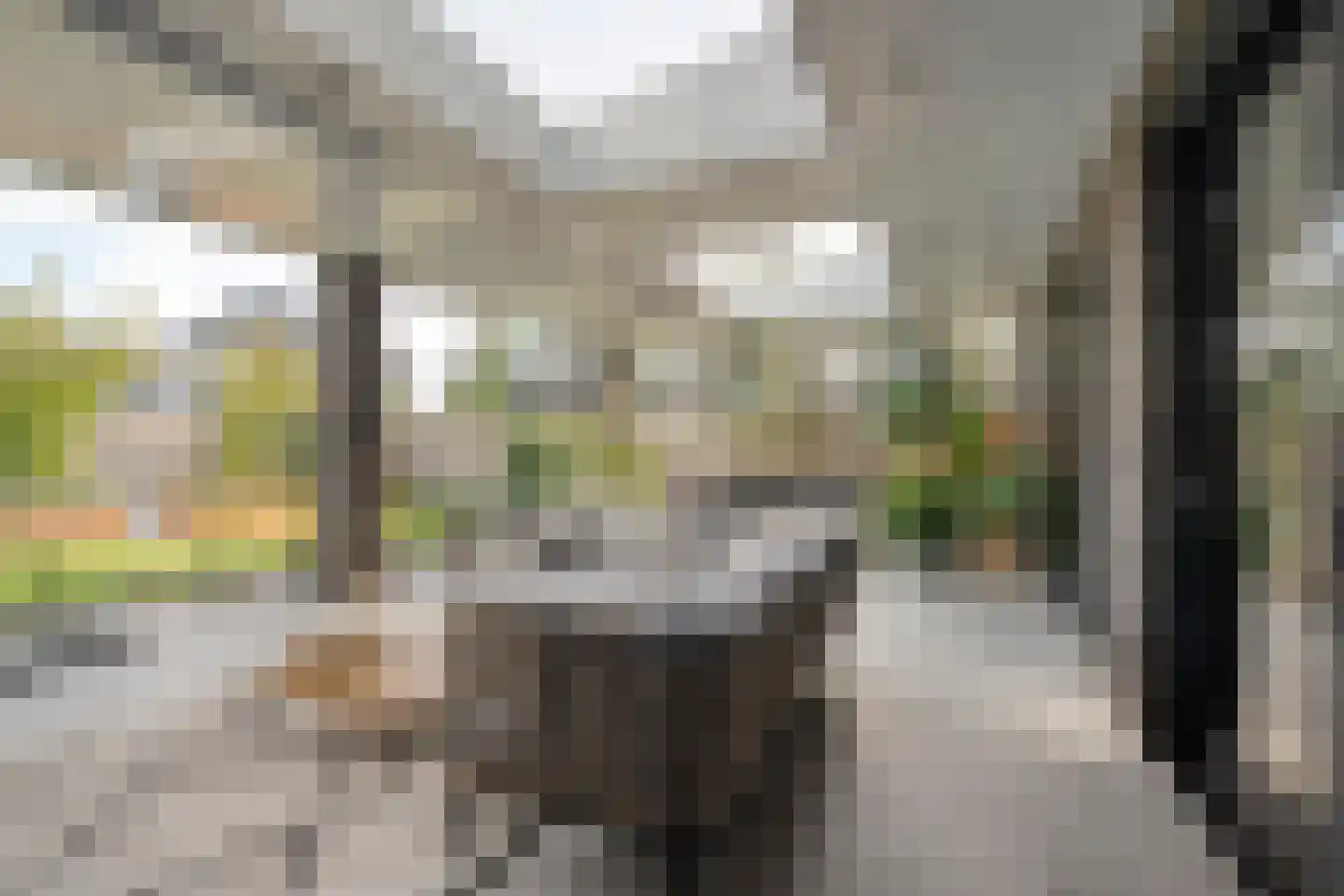 Blasiuslaan 7 Almelo thumbnail 30