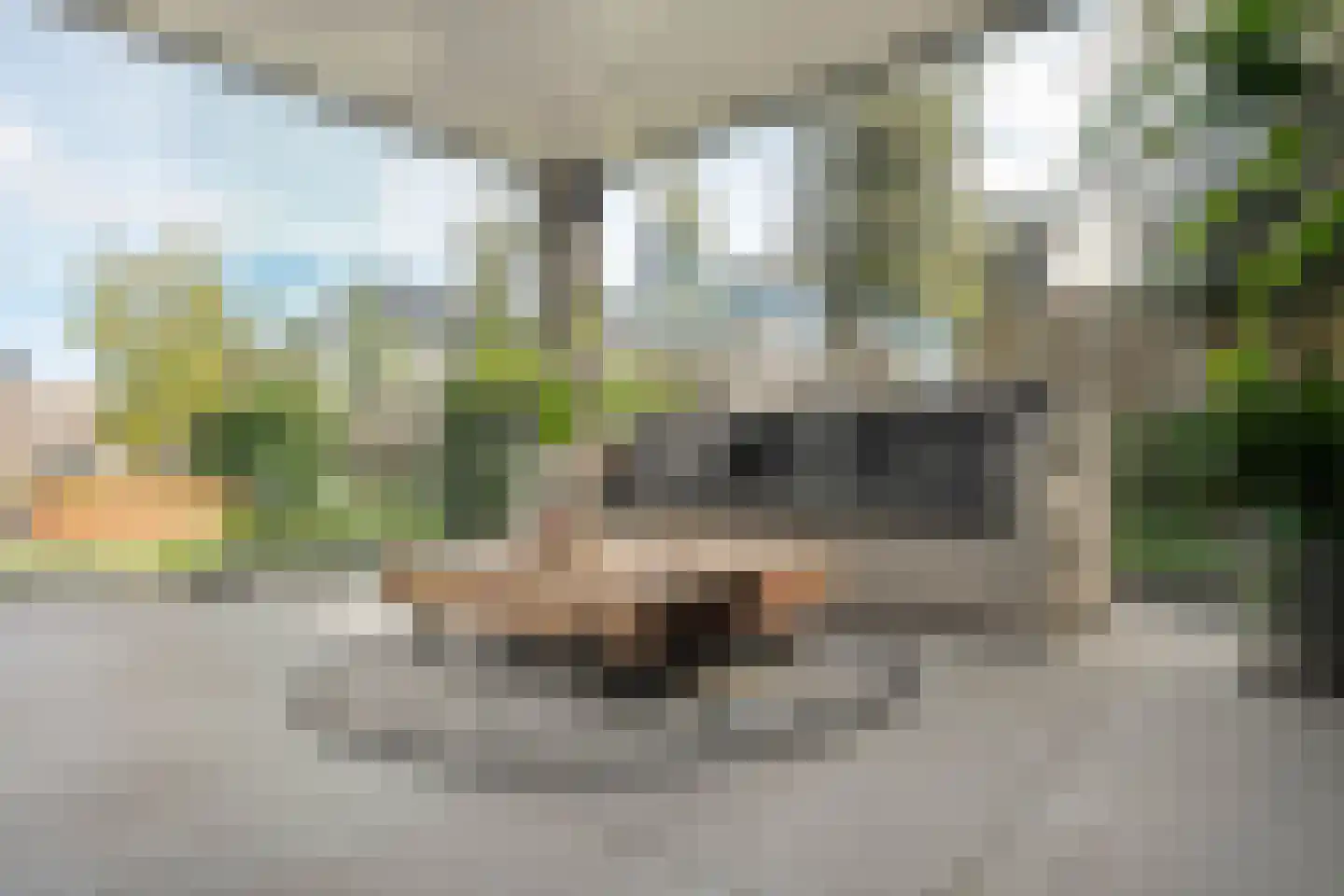 Blasiuslaan 7 Almelo thumbnail 31
