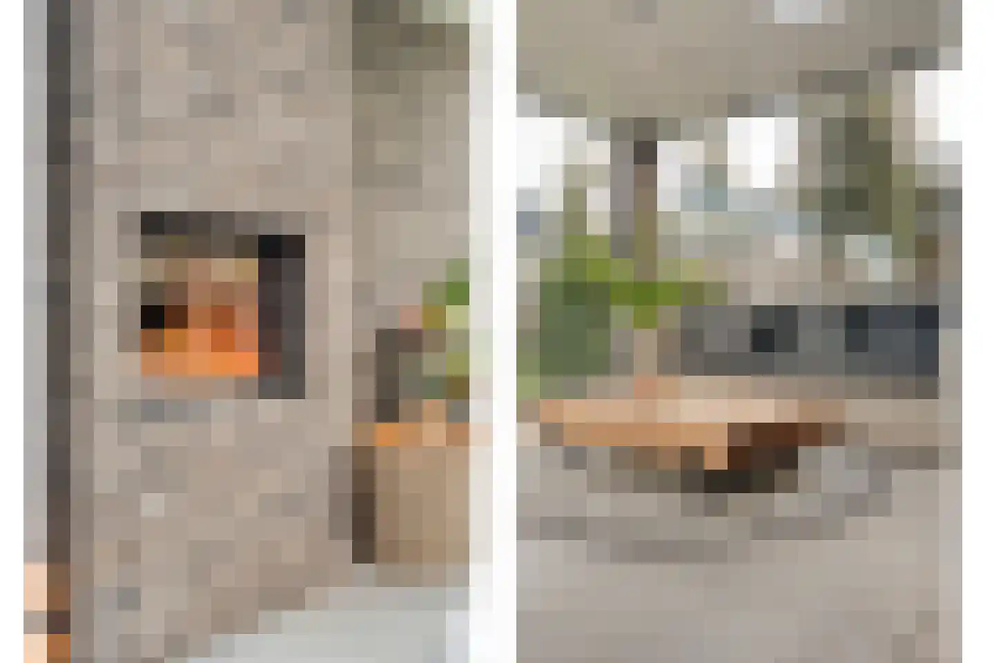 Blasiuslaan 7 Almelo thumbnail 32