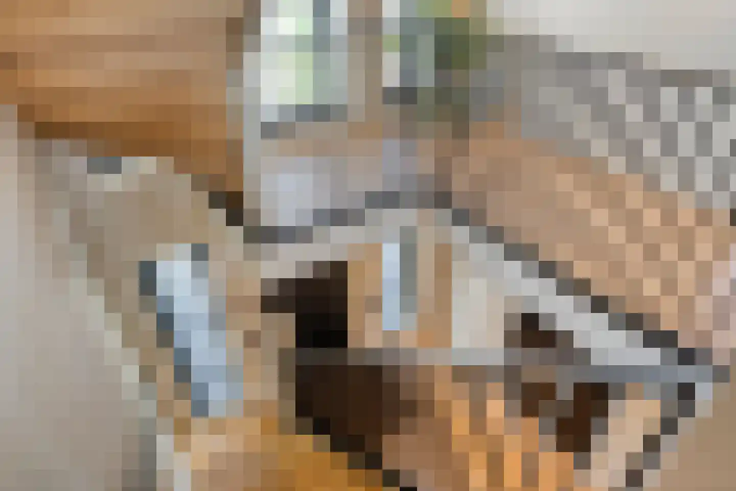 Blasiuslaan 7 Almelo thumbnail 33