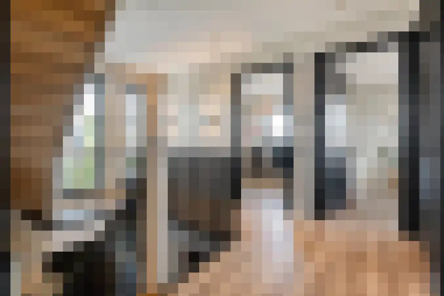 Blasiuslaan 7 Almelo thumbnail 34