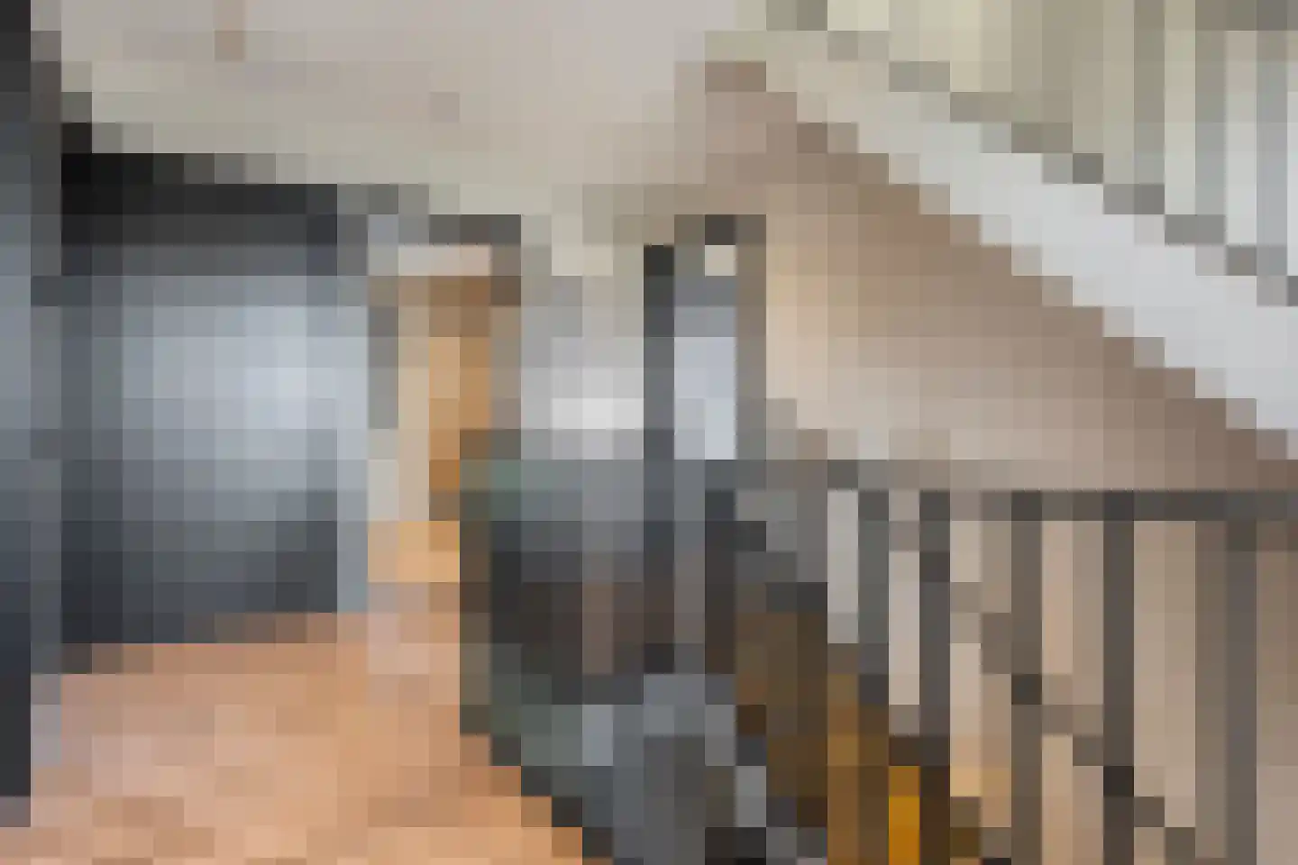 Blasiuslaan 7 Almelo thumbnail 35