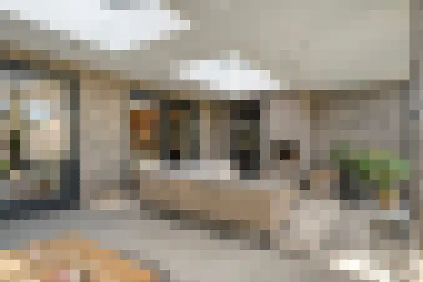Blasiuslaan 7 Almelo thumbnail 5