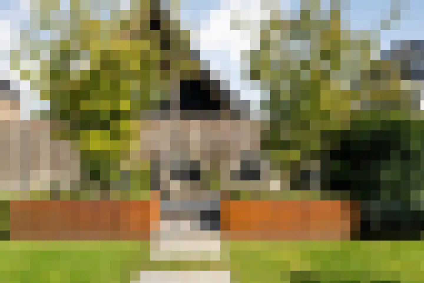 Blasiuslaan 7 Almelo thumbnail 53