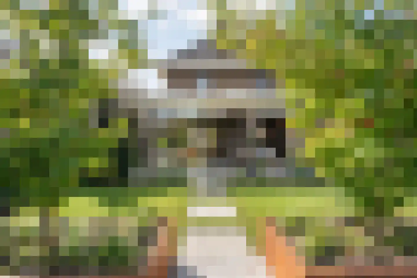 Blasiuslaan 7 Almelo thumbnail 6