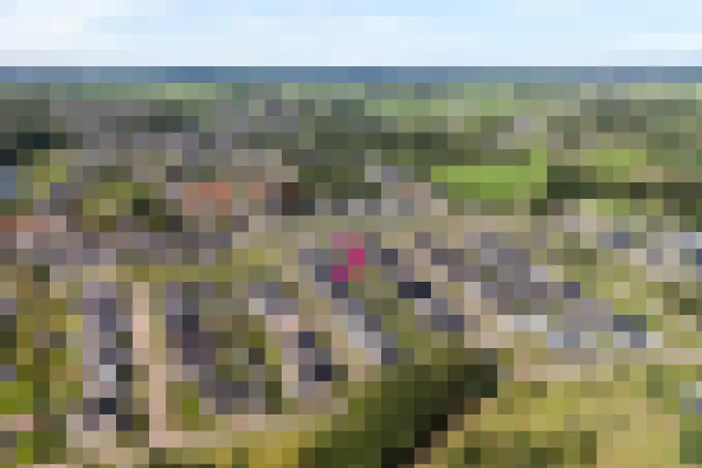 Blasiuslaan 7 Almelo thumbnail 64