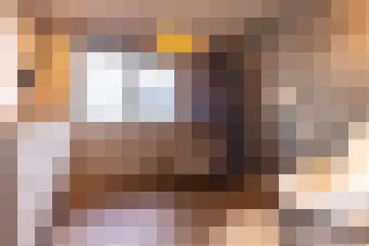 Blasiuslaan 8 Almelo thumbnail 26
