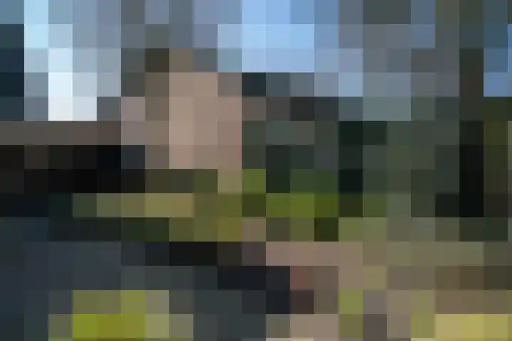 Blasiusstraat 10 a Deurne thumbnail 21