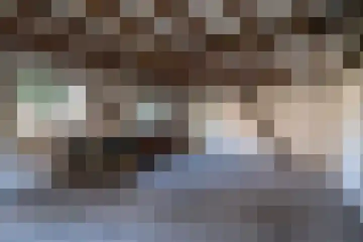 Blasiusstraat 10 a Deurne thumbnail 32