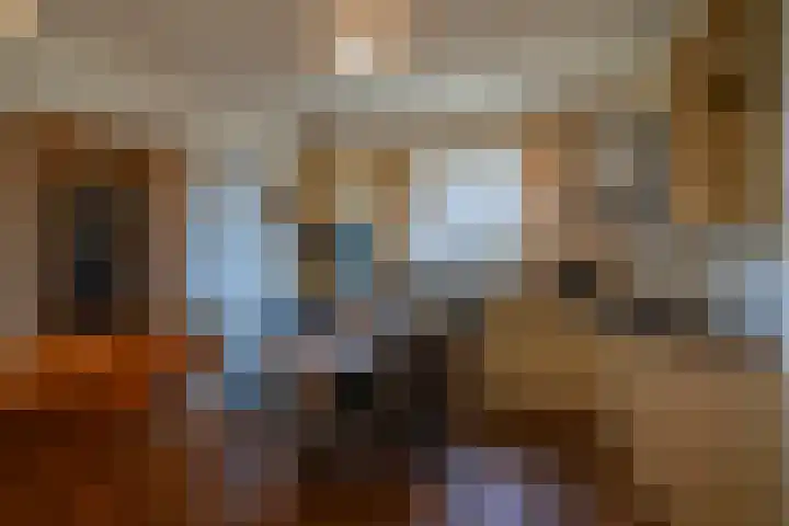 Blasiusstraat 10 a Deurne thumbnail 6