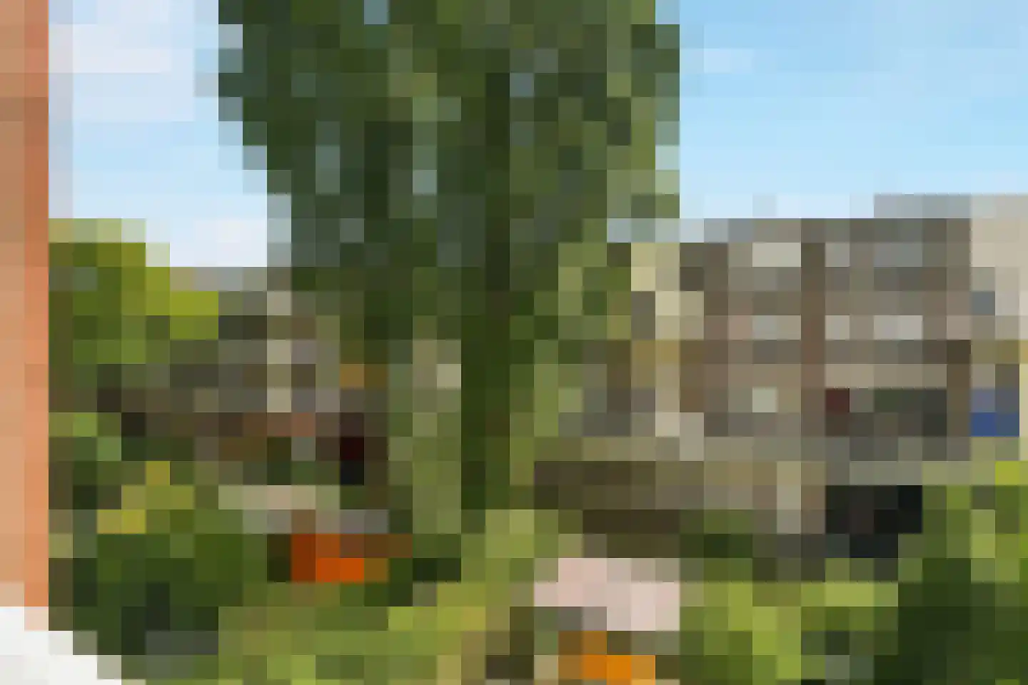 Blasiusstraat 102 C Amsterdam thumbnail 24