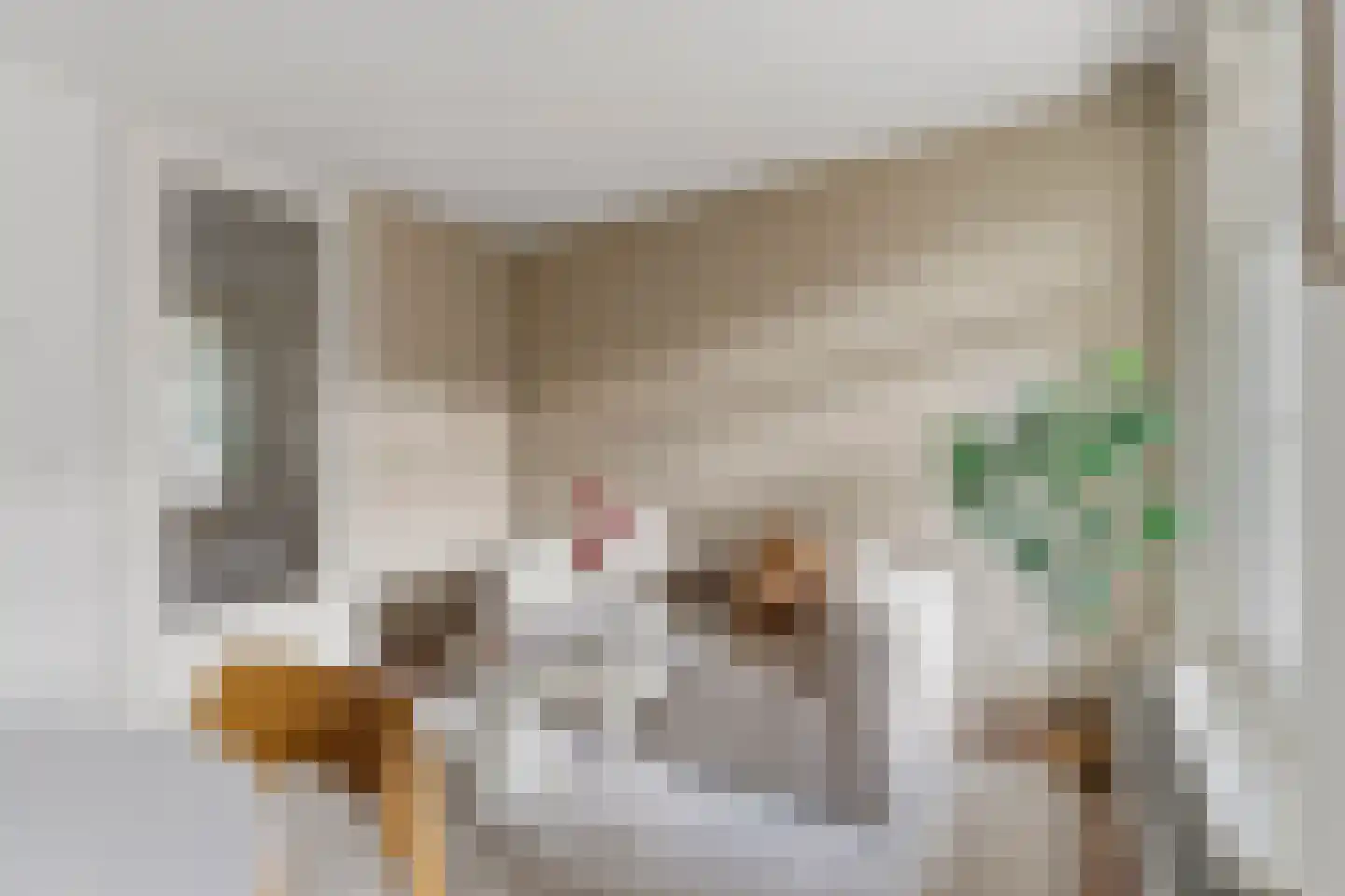 Blasiusstraat 102 C Amsterdam thumbnail 8