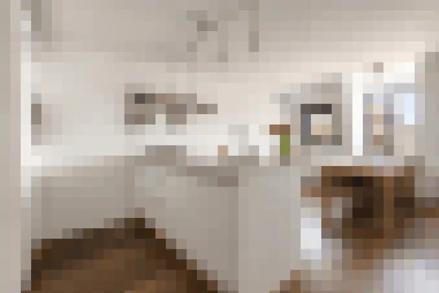 Blasiusstraat 108 4 Amsterdam thumbnail 19