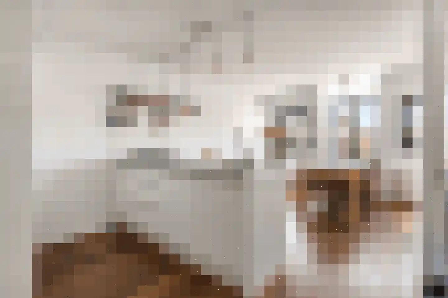 Blasiusstraat 108 4 Amsterdam thumbnail 20