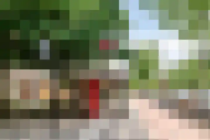 Blasiusstraat 110 1 Amsterdam thumbnail 27