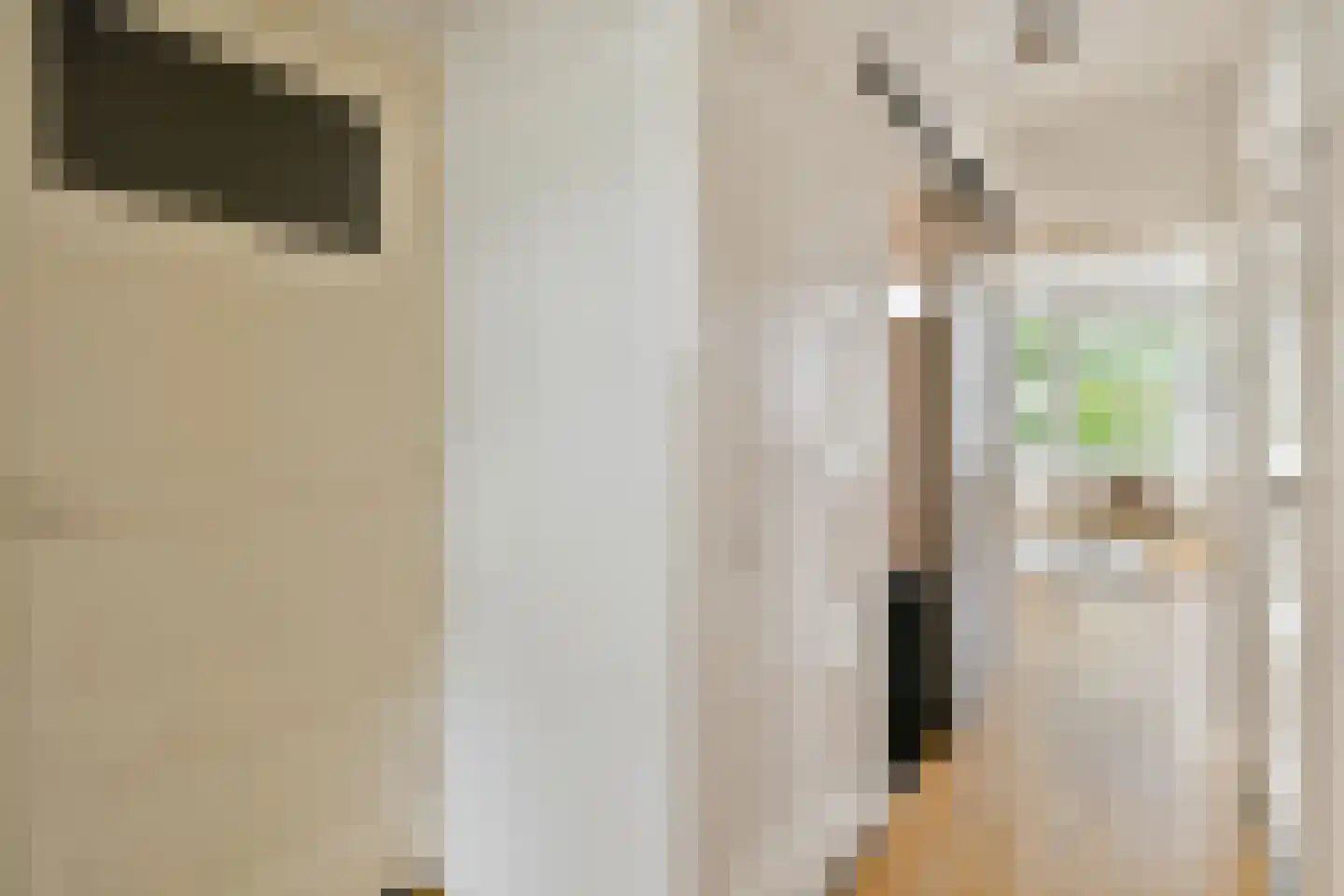 Blasiusstraat 113 3 Amsterdam thumbnail 11