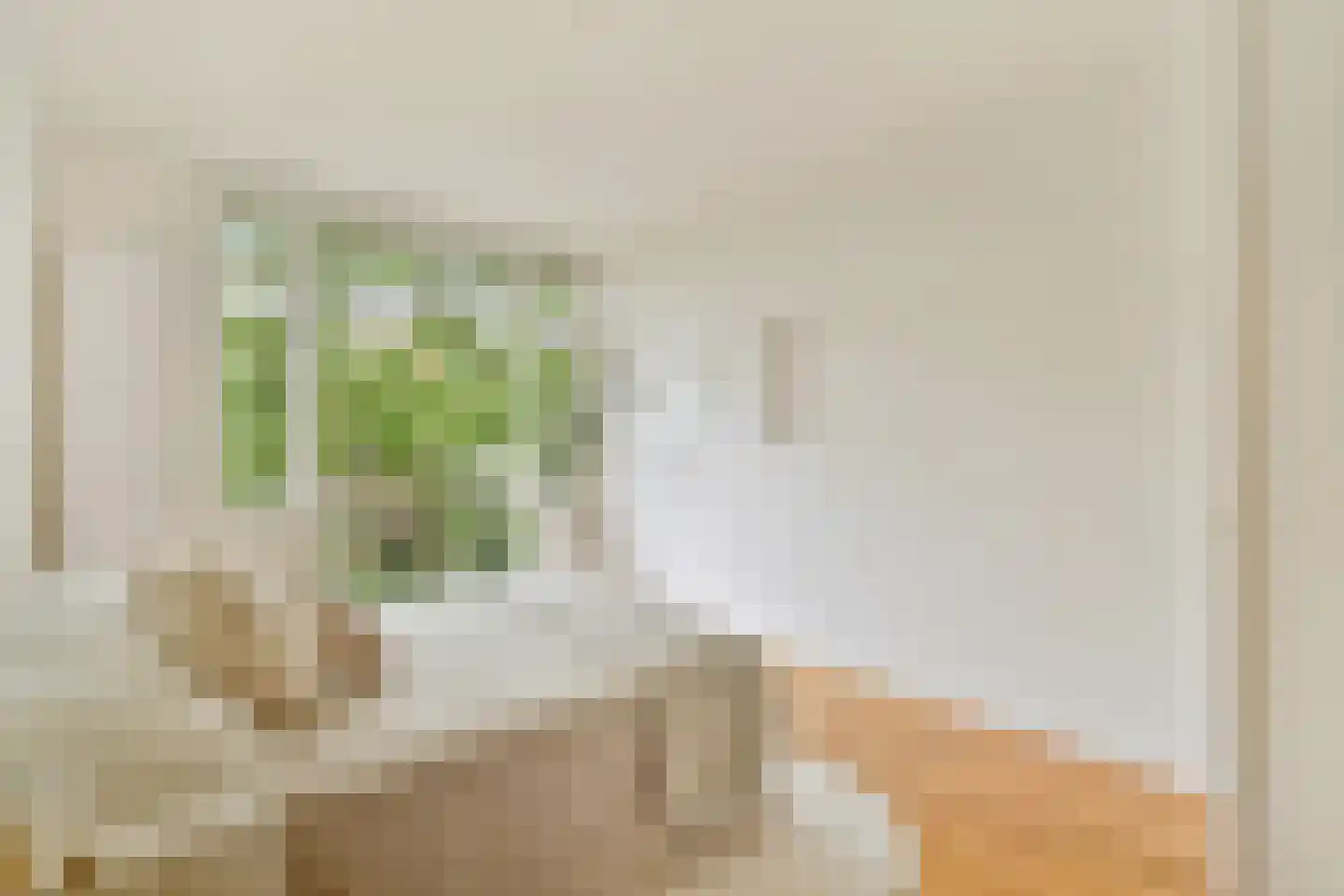 Blasiusstraat 113 3 Amsterdam thumbnail 6