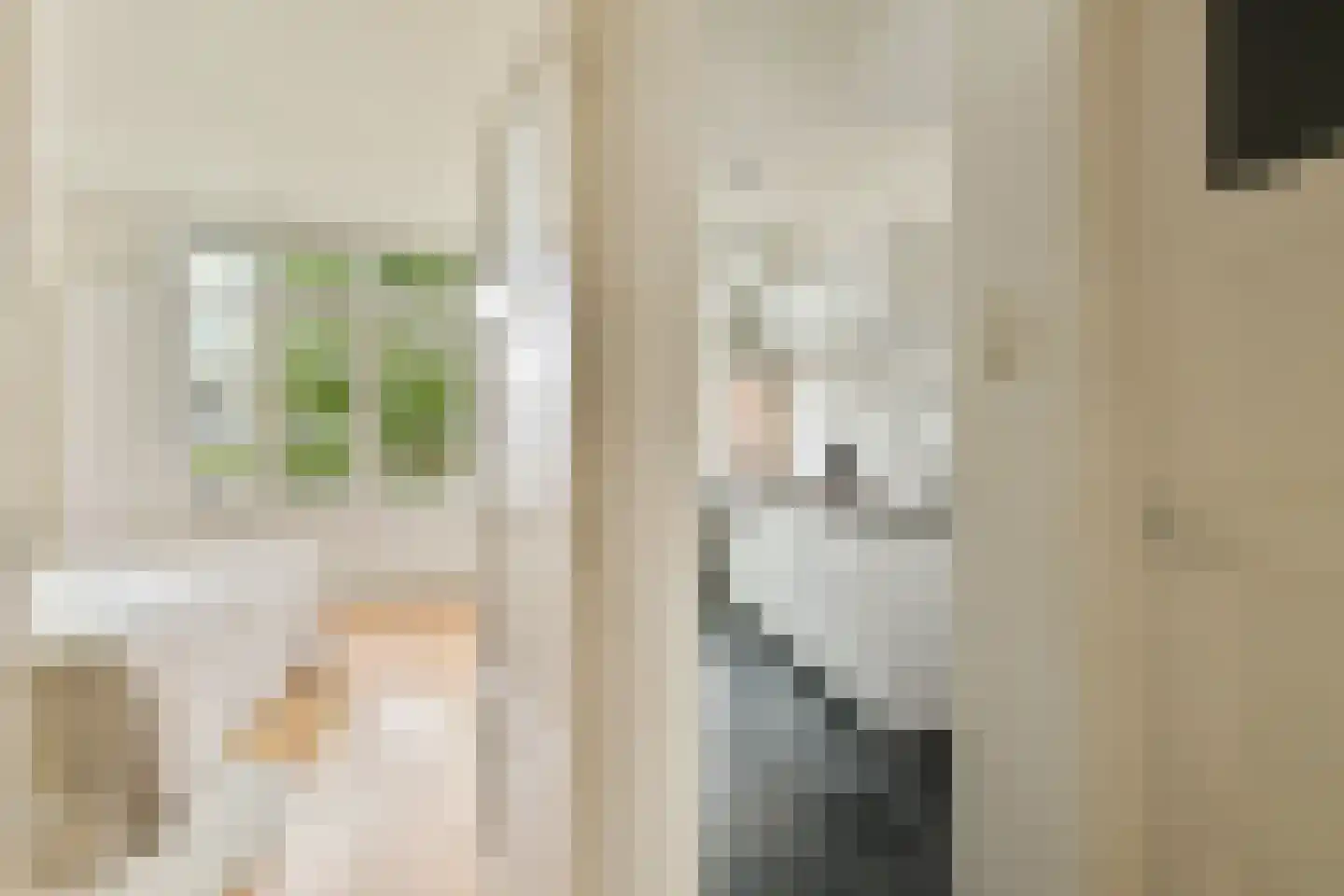 Blasiusstraat 113 3 Amsterdam thumbnail 8