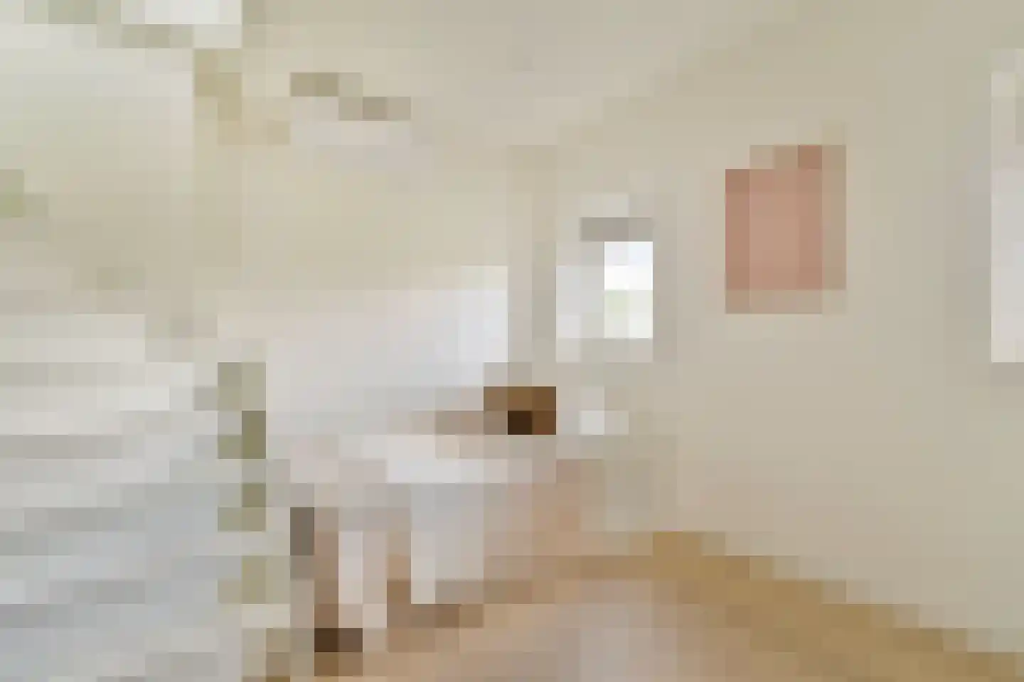 Blasiusstraat 132 4 Amsterdam thumbnail 7