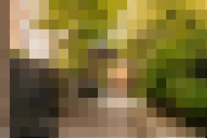 Blasiusstraat 3 2 Amsterdam thumbnail 11