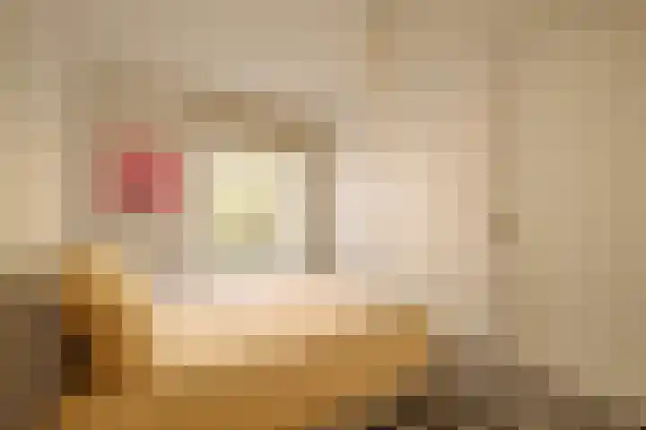 Blasiusstraat 3 2 Amsterdam thumbnail 27