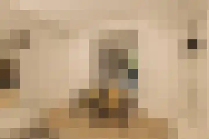 Blasiusstraat 3 2 Amsterdam thumbnail 4