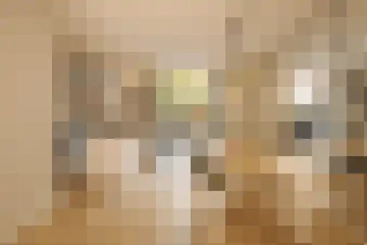 Blasiusstraat 3 2 Amsterdam thumbnail 5