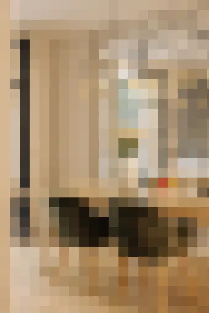 Blasiusstraat 3 2 Amsterdam thumbnail 7