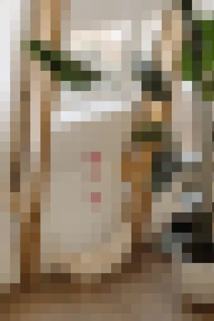 Blasiusstraat 32 3 Amsterdam thumbnail 6