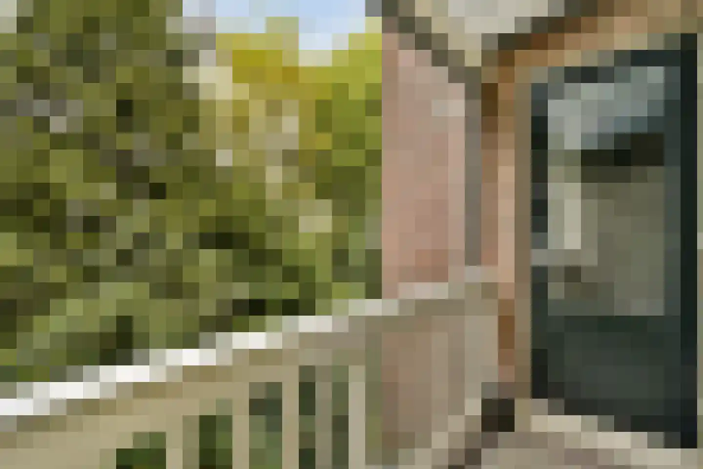 Blasiusstraat 5 1 Amsterdam thumbnail 5