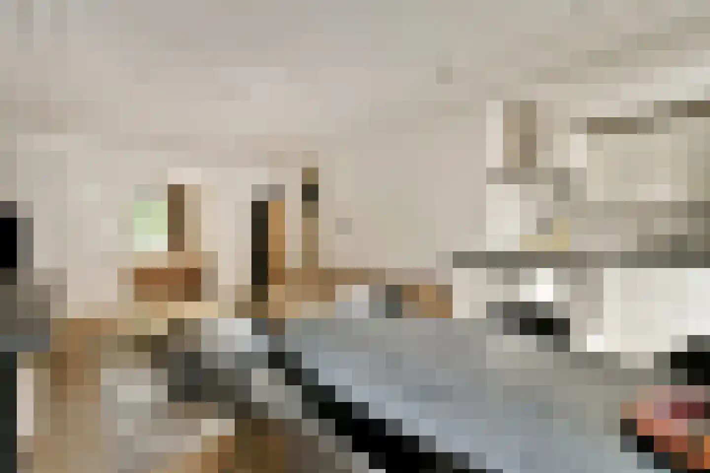Blasiusstraat 5 1 Amsterdam thumbnail 6