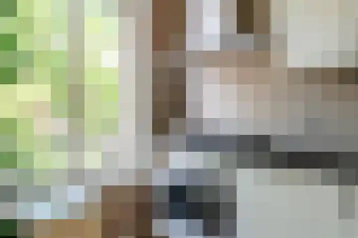 Blasiusstraat 50 2 Amsterdam thumbnail 10
