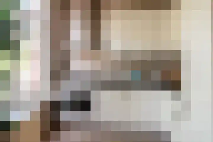 Blasiusstraat 50 2 Amsterdam thumbnail 9