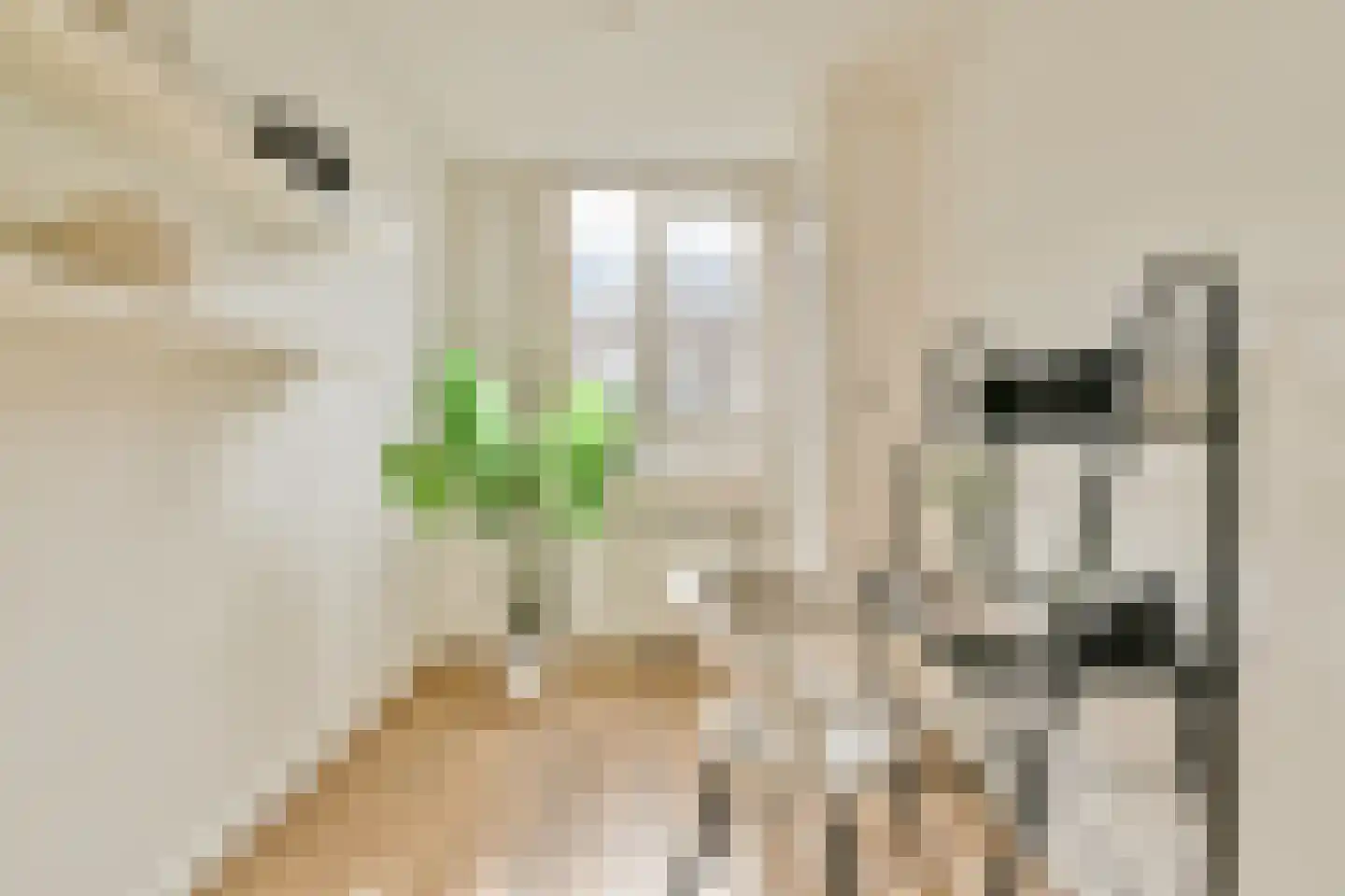 Blasiusstraat 56 2 Amsterdam thumbnail 17