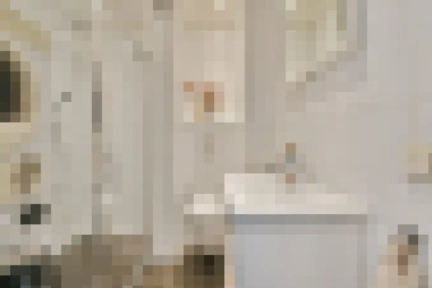 Blasiusstraat 56 2 Amsterdam thumbnail 18