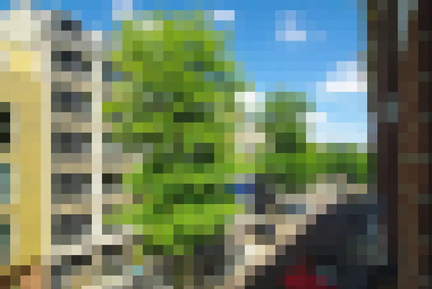 Blasiusstraat 56 2 Amsterdam thumbnail 30
