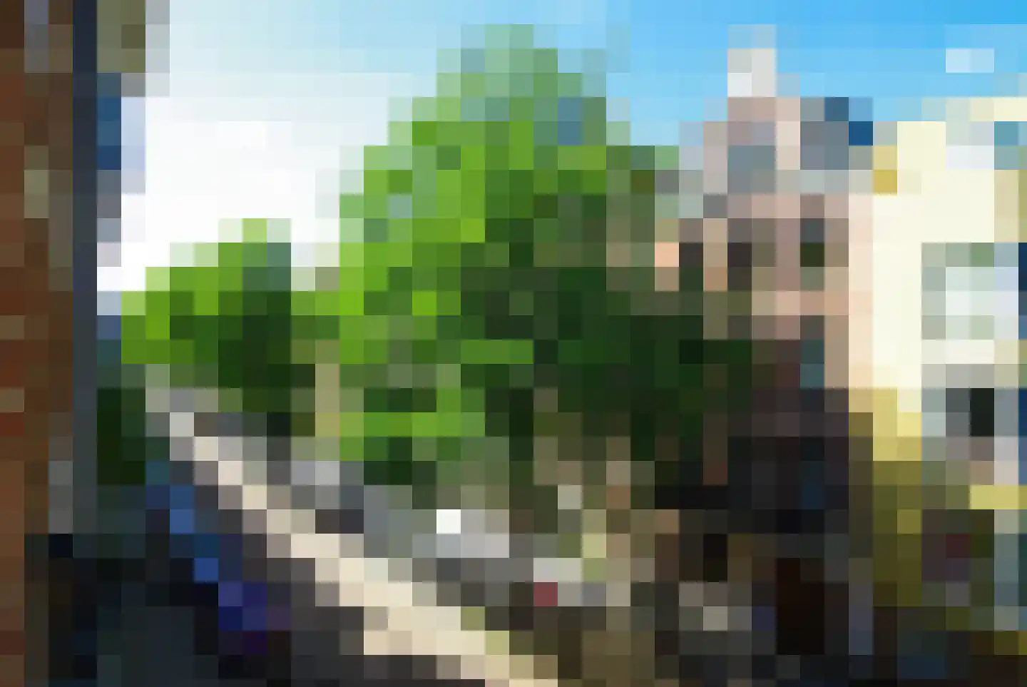 Blasiusstraat 56 2 Amsterdam thumbnail 32