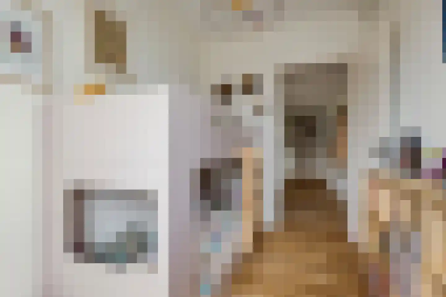 Blasiusstraat 63 2 Amsterdam thumbnail 25