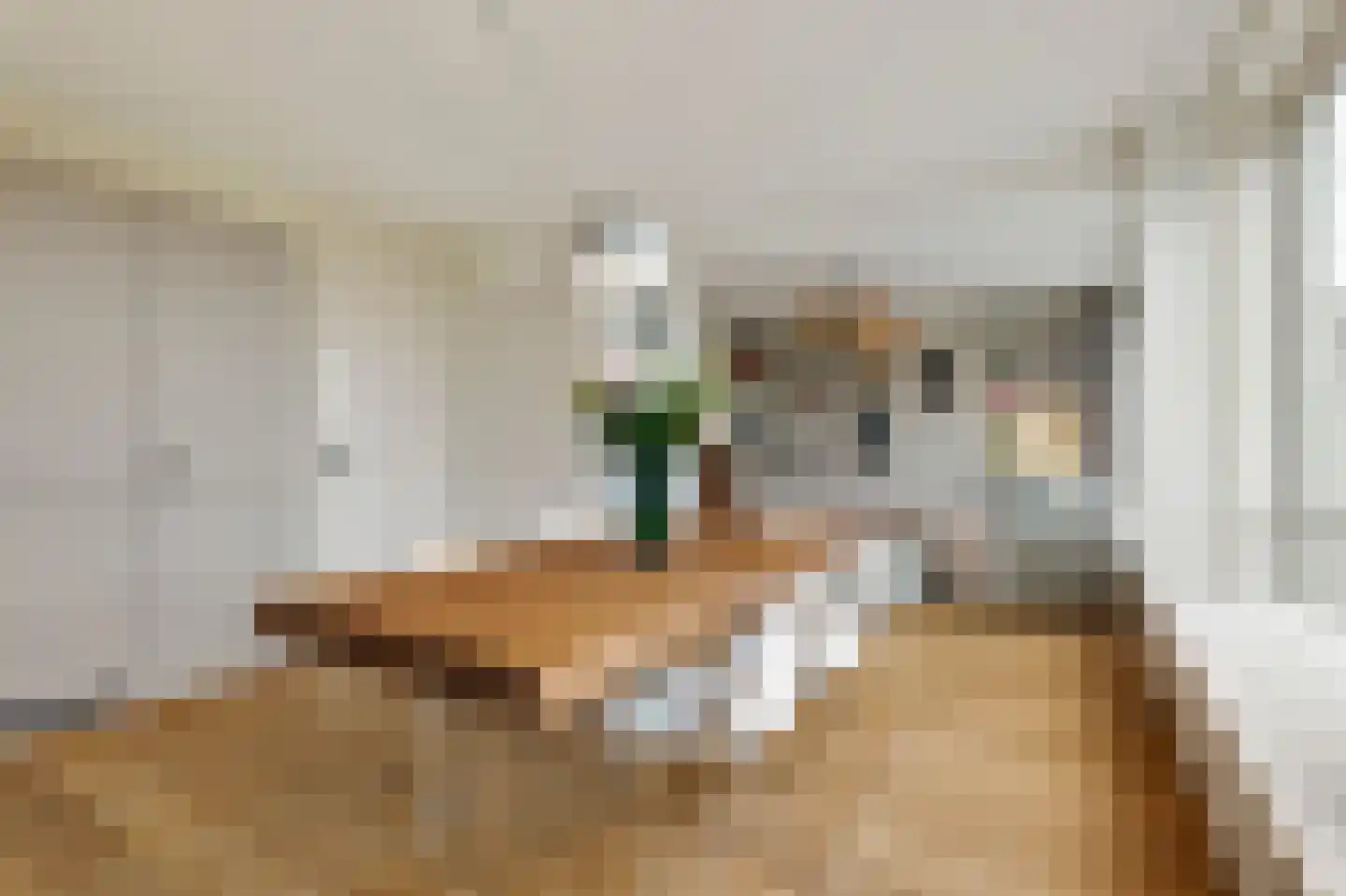 Blasiusstraat 63 2 Amsterdam thumbnail 8