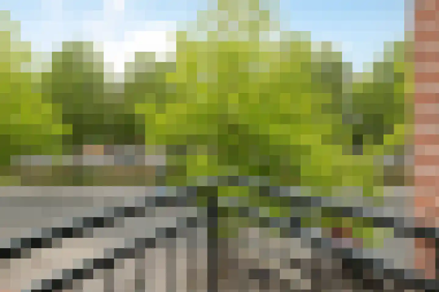 Blasiusstraat 70 E Amsterdam thumbnail 12