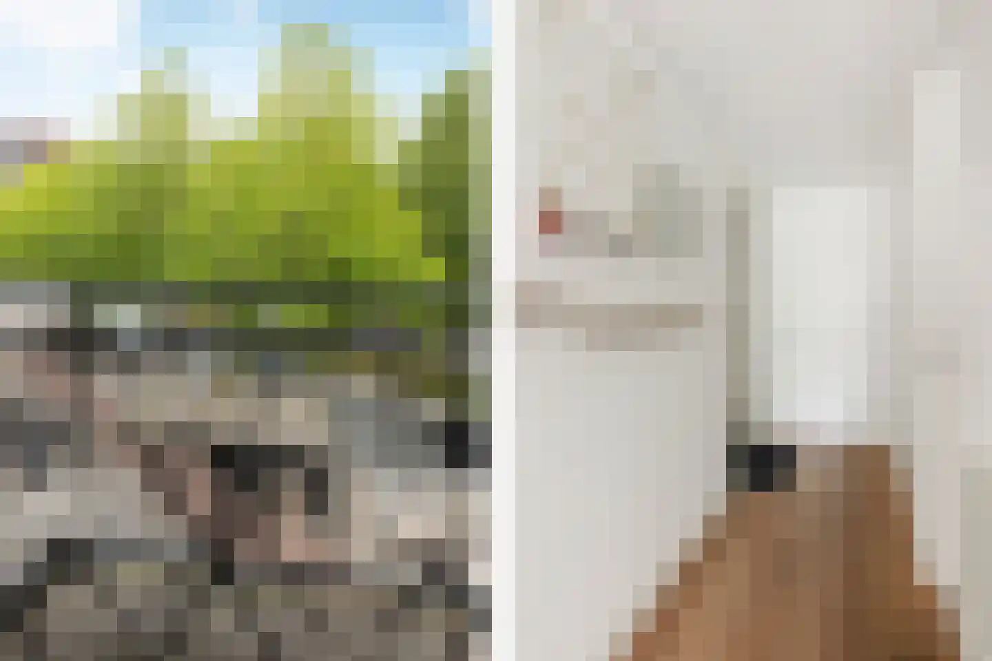 Blasiusstraat 70 E Amsterdam thumbnail 15