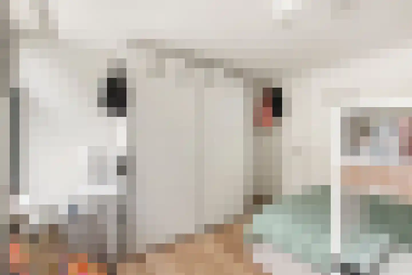 Blasiusstraat 70 E Amsterdam thumbnail 20