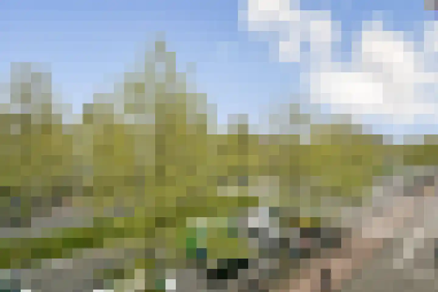 Blasiusstraat 70 G Amsterdam thumbnail 15