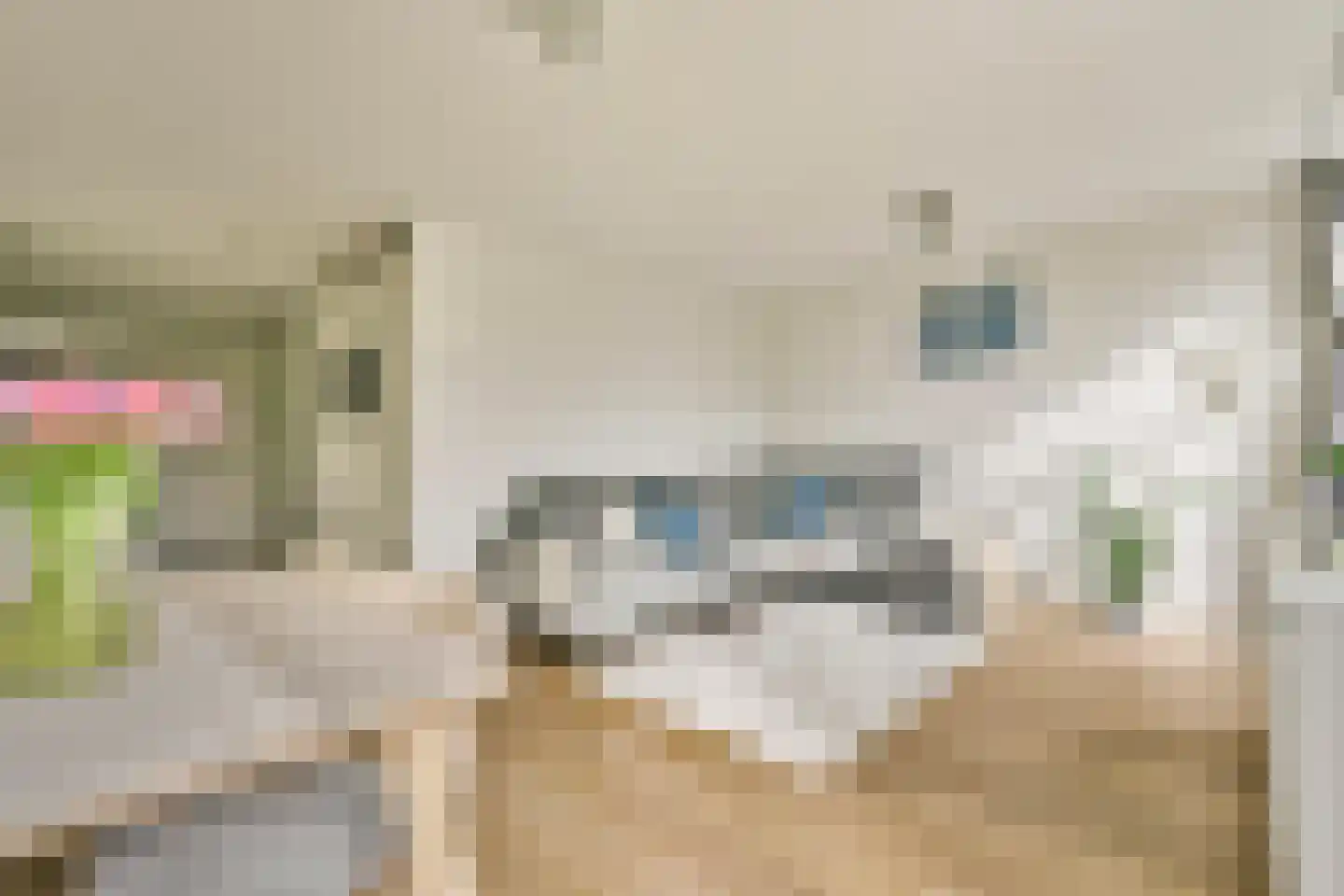 Blasiusstraat 70 G Amsterdam thumbnail 6